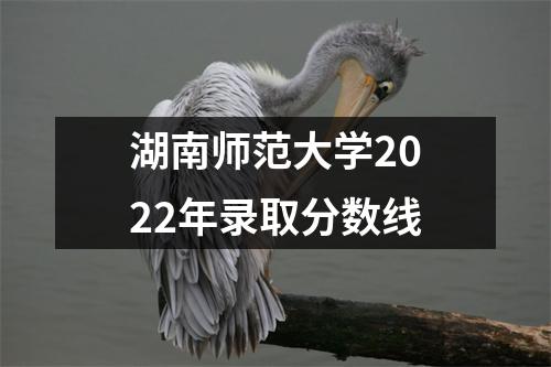 湖南师范大学2022年录取分数线