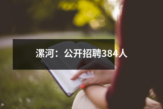 漯河:公开招聘384人