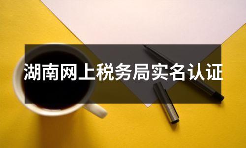湖南网上税务局实名认证