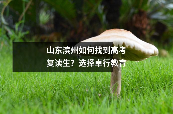 山东滨州如何找到高考复读生?选择卓行教育