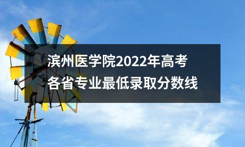 滨州医学院2022年高考各省专业最低录取分数线