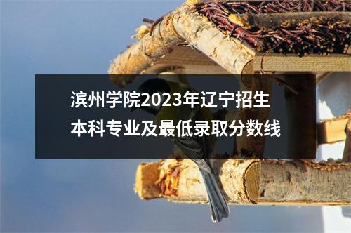滨州学院2023年辽宁招生本科专业及最低录取分数线
