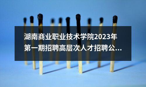 湖南商业职业技术学院2023年第一期招聘高层次人才招聘公告