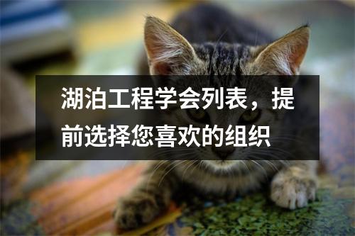 湖泊工程学会列表,提前选择您喜欢的组织