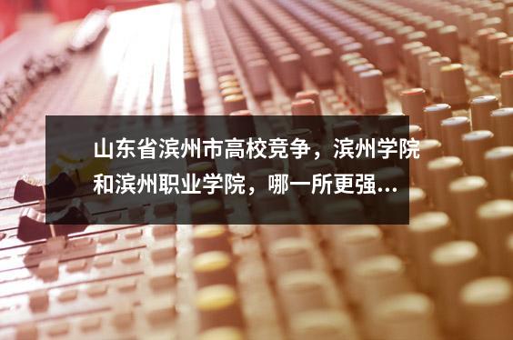山东省滨州市高校竞争,滨州学院和滨州职业学院,哪一所更强?