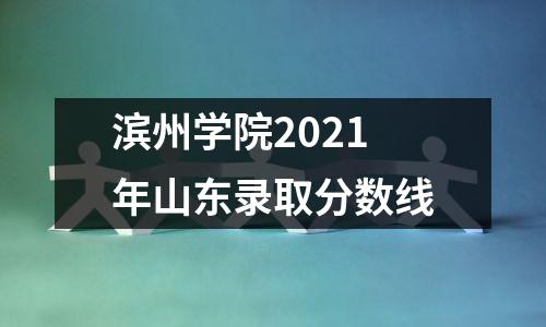 滨州学院2021年山东录取分数线