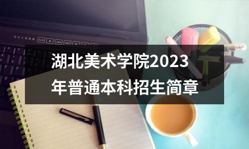 湖北美术学院2023年普通本科招生简章