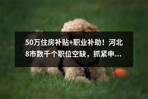 50万住房补贴+职业补助!河北8市数千个职位空缺,抓紧申请