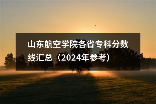 山东航空学院各省专科分数线汇总(2024年参考)