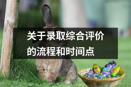 关于录取综合评价的流程和时间点