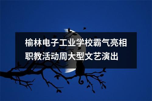 榆林电子工业学校霸气亮相职教活动周大型文艺演出