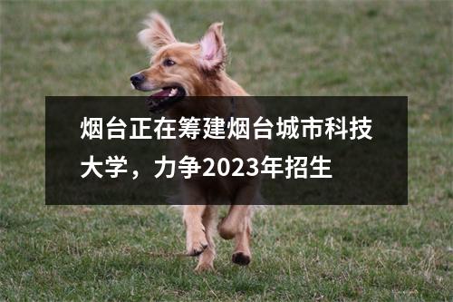 烟台正在筹建烟台城市科技大学,力争2023年招生
