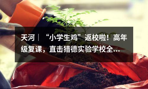 天河|“小学生鸡”返校啦!高年级复课,直击猎德实验学校全面防疫举措→