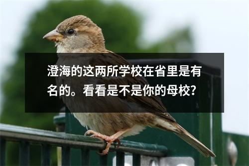 澄海的这两所学校在省里是有名的。看看是不是你的母校?