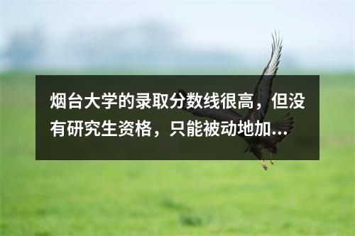 烟台大学的录取分数线很高,但没有研究生资格,只能被动地加入考研大军。这很难。