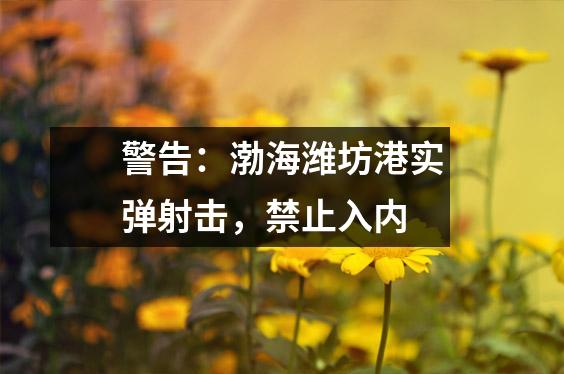 警告:渤海潍坊港实弹射击,禁止入内