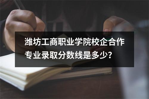 潍坊工商职业学院校企合作专业录取分数线是多少？