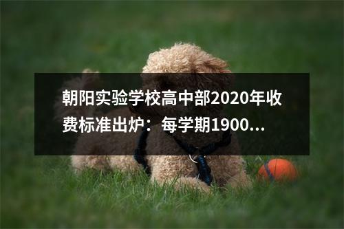 朝阳实验学校高中部2020年收费标准出炉:每学期19000元!