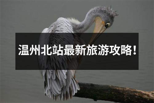 温州北站最新旅游攻略!