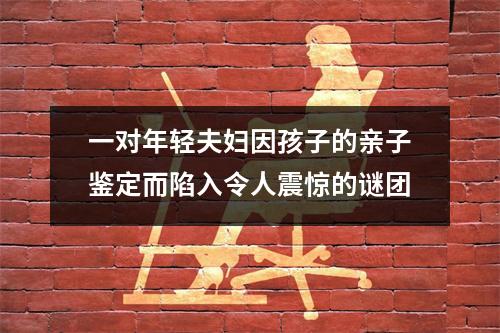 一对年轻夫妇因孩子的亲子鉴定而陷入令人震惊的谜团