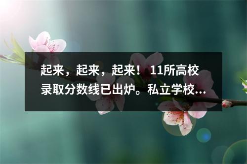 起来,起来,起来! 11所高校录取分数线已出炉。私立学校需要331吗?快速查看