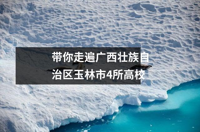 带你走遍广西壮族自治区玉林市4所高校