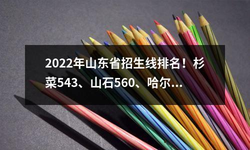 2022年山东省招生线排名!杉菜543、山石560、哈尔滨工程大学602、山东大学607