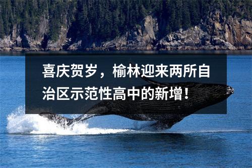 喜庆贺岁,榆林迎来两所自治区示范性高中的新增!