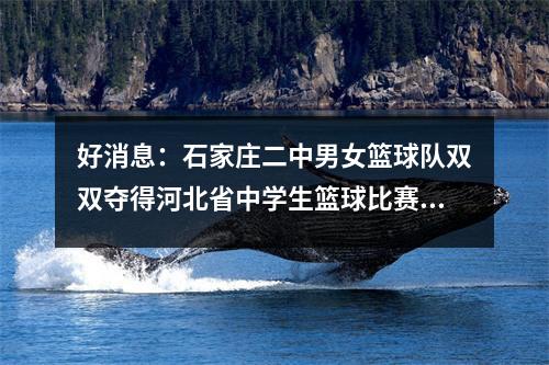 好消息:石家庄二中男女篮球队双双夺得河北省中学生篮球比赛冠军!