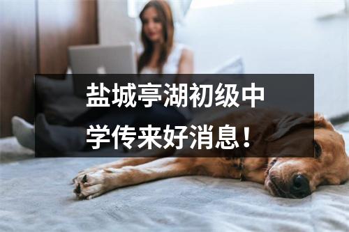 盐城亭湖初级中学传来好消息!