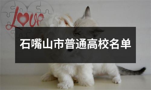 石嘴山市普通高校名单