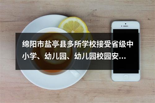 绵阳市盐亭县多所学校接受省级中小学、幼儿园、幼儿园校园安全交叉检查