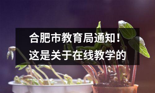 合肥市教育局通知!这是关于在线教学的