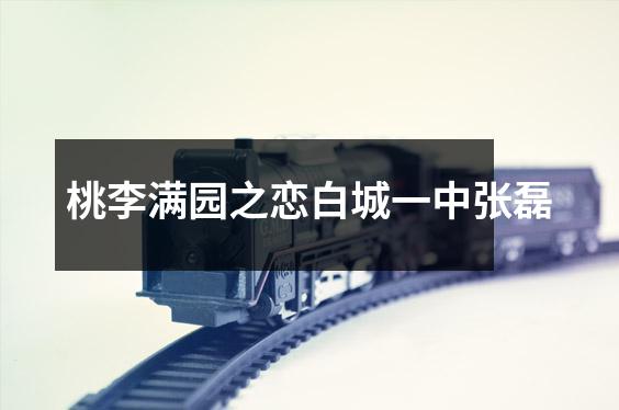 桃李满园之恋白城一中张磊