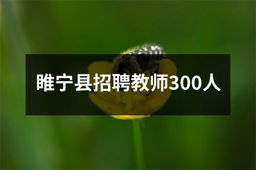 睢宁县招聘教师300人