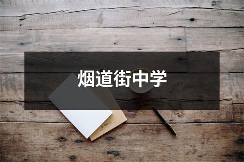 烟道街中学