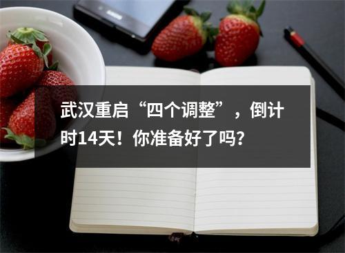 武汉重启“四个调整”,倒计时14天!你准备好了吗?