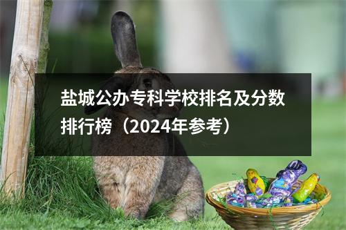 盐城公办专科学校排名及分数排行榜(2024年参考)