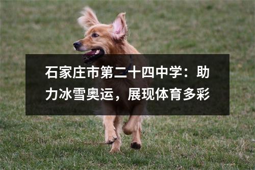 石家庄市第二十四中学:助力冰雪奥运,展现体育多彩
