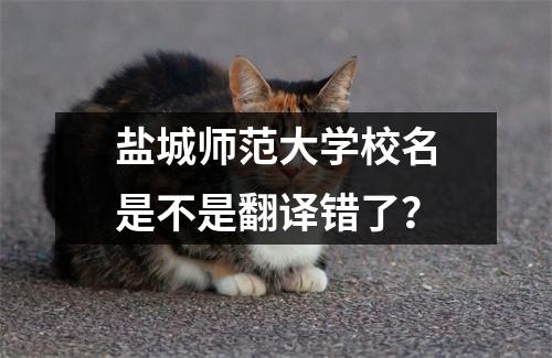 盐城师范大学校名是不是翻译错了?