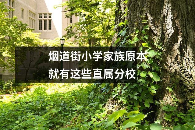 烟道街小学家族原本就有这些直属分校