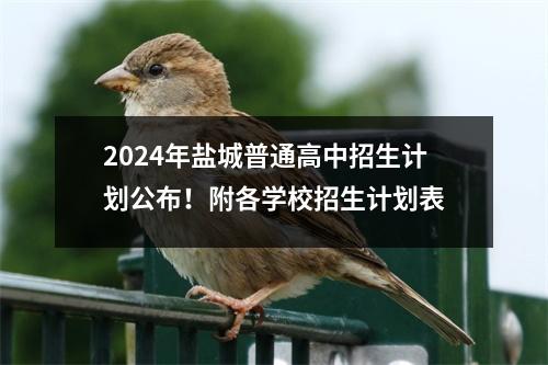 2024年盐城普通高中招生计划公布!附各学校招生计划表