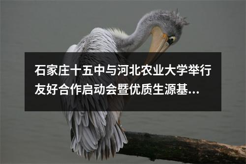 石家庄十五中与河北农业大学举行友好合作启动会暨优质生源基地签约授牌仪式。