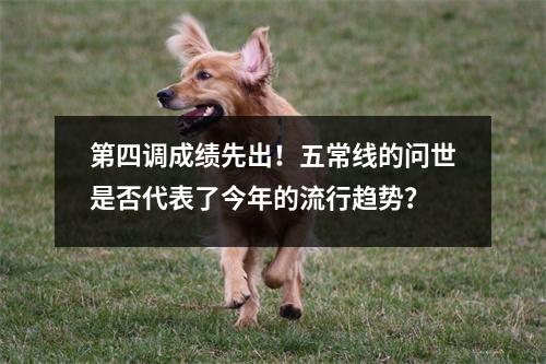 第四调成绩先出!五常线的问世是否代表了今年的流行趋势?
