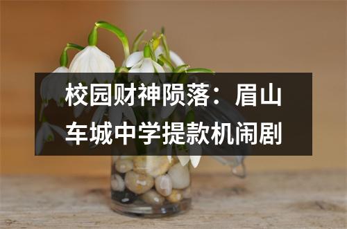 校园财神陨落:眉山车城中学提款机闹剧