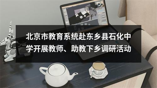北京市教育系统赴东乡县石化中学开展教师、助教下乡调研活动