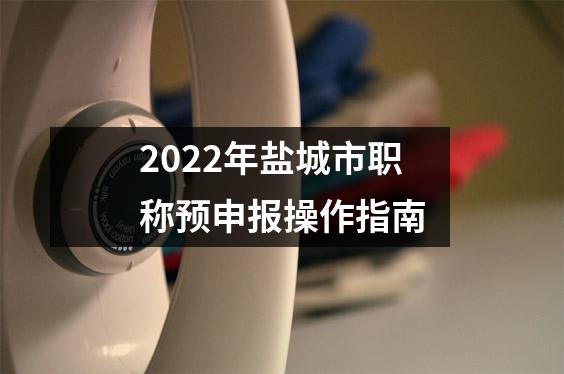 2022年盐城市职称预申报操作指南
