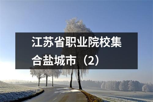 江苏省职业院校集合盐城市(2)