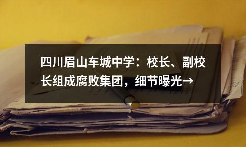 四川眉山车城中学:校长、副校长组成腐败集团,细节曝光→