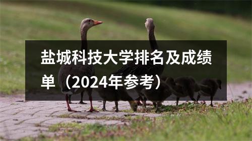 盐城科技大学排名及成绩单(2024年参考)